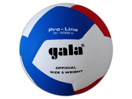 GALA Volejbalový míč Pro Line - BV 5585 S