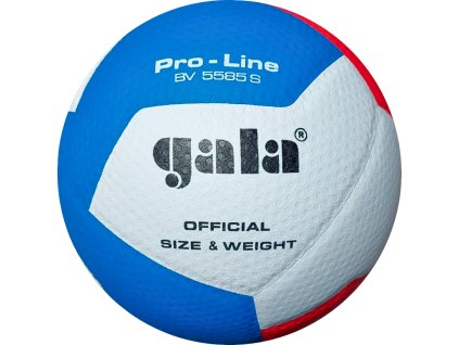 GALA Volejbalový míč Pro Line - BV 5585 S