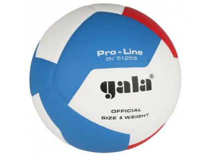 GALA Volejbalový míč Pro Line 12 - BV 5125 S