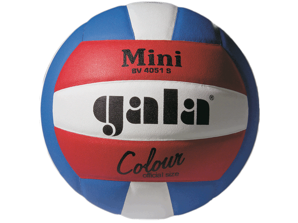 GALA Volejbalový míč Pro-Line Mini - BV 4051 S