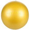 Gymnic overball