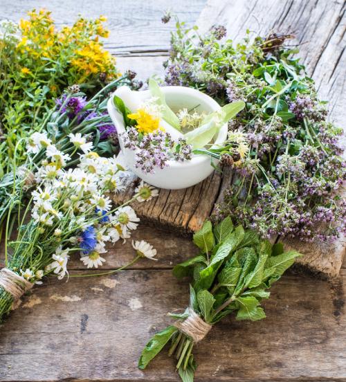 Síla rostlin v kosmetice Astrali