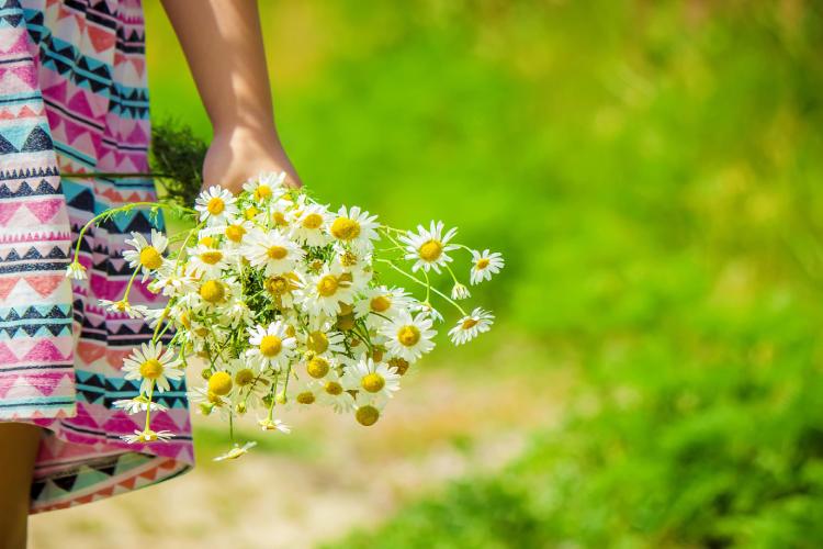 Síla rostlin v produktech Astrali