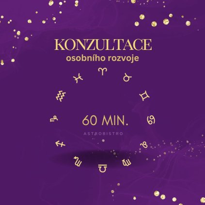 KONZULTACE - 60 minut