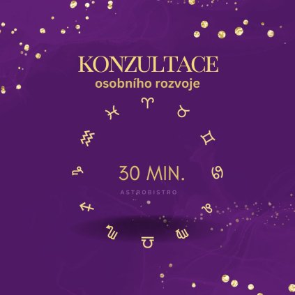 KONZULTACE - 30 minut