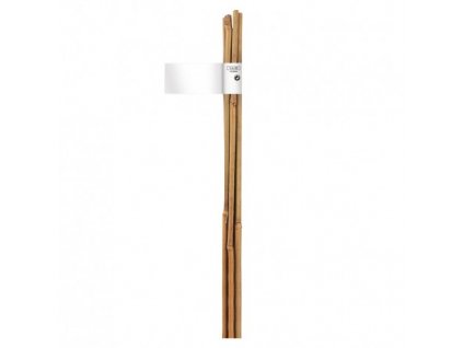 Bambusová tyč prírodná o6-8mmx0,6m