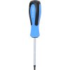 Briliant tools BT031014 Skrutkovač TORX, T25 x 100 mm