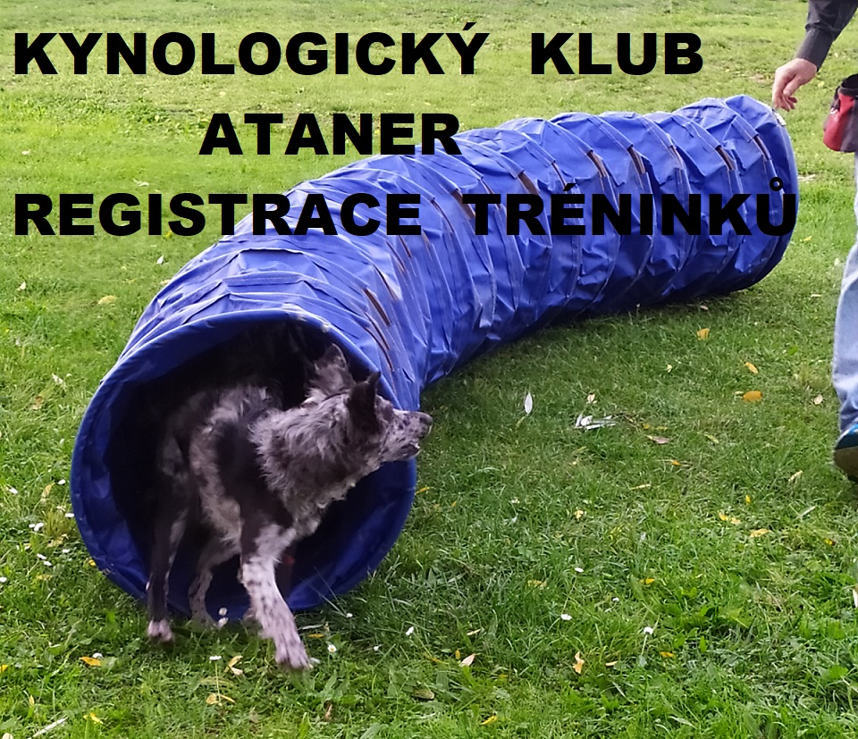 Kynologický klub Ataner-Postoloprty