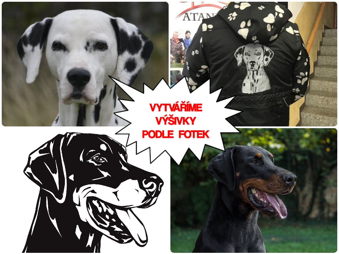 Výšivka podle fotky /zakázková výroba/