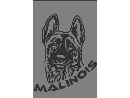 malinois