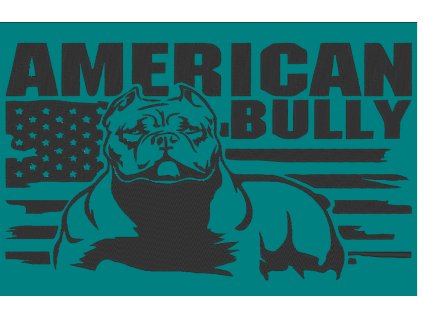 AMERICKÝ BULLY