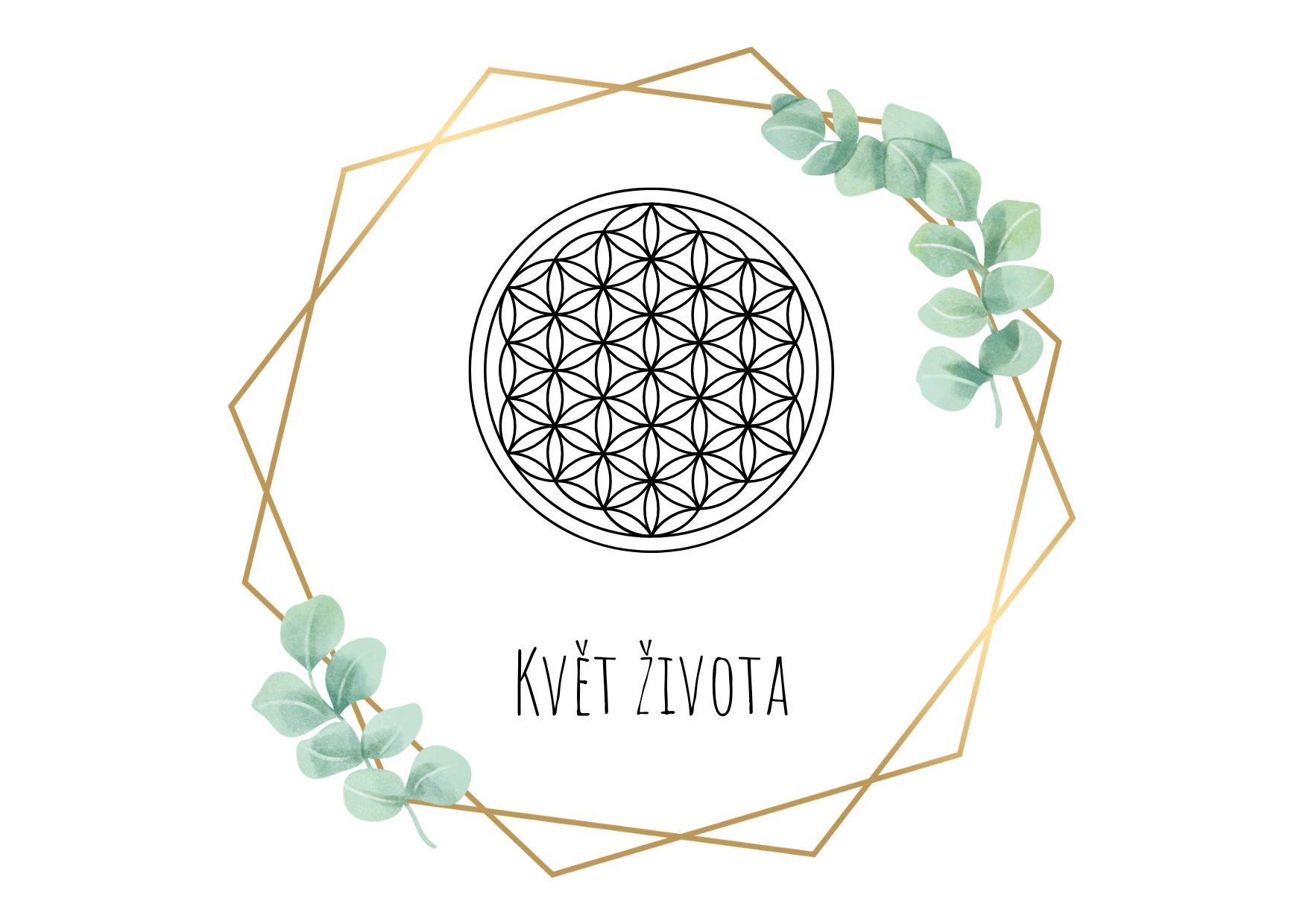 floweroflife_banner