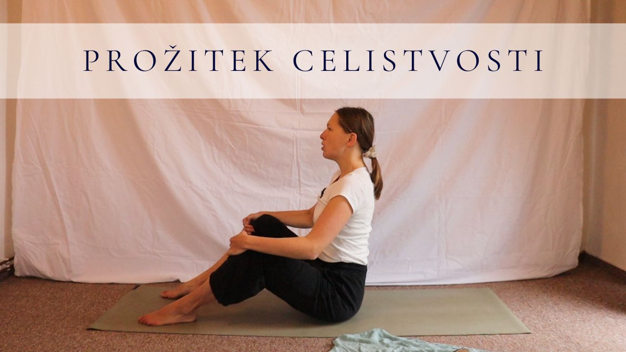 celistvost