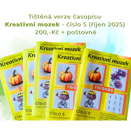 kreativní mozek