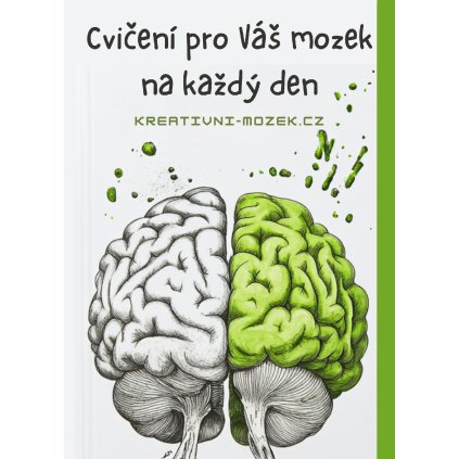 Cvičení pro Váš mozek na každý den (v PDF)