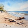 janalagry watercolor painting Peaceful beach scene with driftwo 3f72eef8 b3a6 4ada 9654 bdcaae9272df