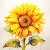 janalagry watercolor painting flower sunflower 90251e42 eaf2 42e8 94e4 4742032ac781
