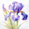 janalagry iris absolute reality painting watercolor one flowe c71b165e 1557 4278 9ea0 ada0ce8006a7 0