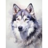 janalagry a painting of a husky dog in white in the style of ac93c8e1 7633 4373 9c97 3c2b08abfa18 2