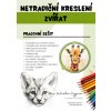 obal Netradiční kreslení zvířat, pracovní sešit