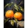 janalagry oil painting of some oranges by chris seiler in the s 427e02aa b379 45ed b2c4 4ea01f3e4ae3