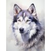 janalagry a painting of a husky dog in white in the style of ac93c8e1 7633 4373 9c97 3c2b08abfa18 2