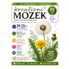 Časopis - Kreativní mozek (v PDF verzi)
