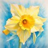 janalagry watercolor acrylic painting flower daffodil v 5.2 af0400e9 edf9 4802 8091 d421f78f40a8