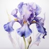 janalagry iris painting watercolor one flower v 5.2 975374b5 0550 4ad9 b4be 645e767efe21 2
