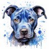 janalagry blue nose pit bull pretty dog watercolor pen ink do 84d46954 e225 4f52 9754 781aa1f7e094 0