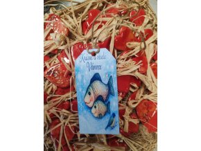 Sada 12 elegantních visaček na dárky