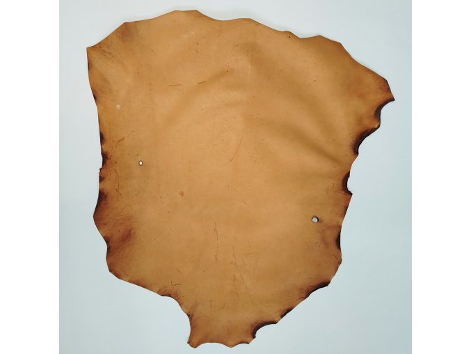 ateleirknihy pergamen srna hnedy