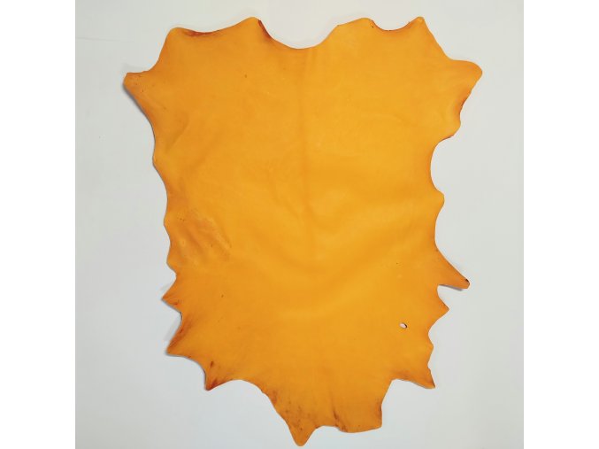 pergamen oranzovy ateleirknihy koza 58