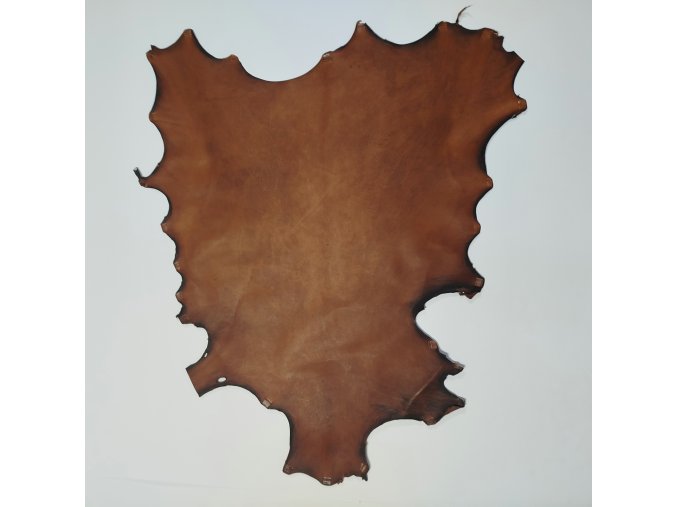 atelierknihy pergamen koza4379