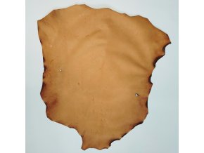 ateleirknihy pergamen srna hnedy