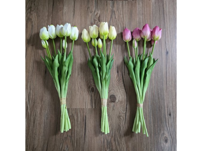 TULIPÁN SVAZEK