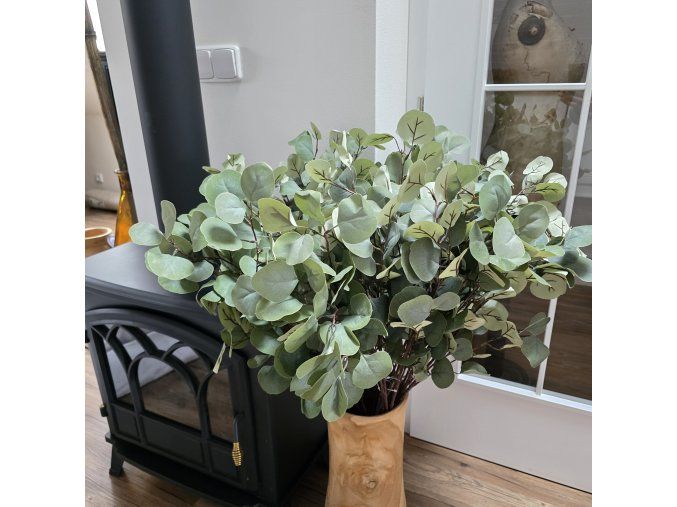 Eukalypt POPULUS