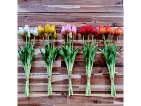 TULIPÁNY SVAZEK