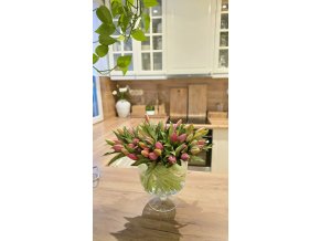 TULIPÁN svazek - poupata