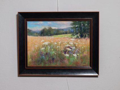 20241029 Louka 30x22cm UART500+RAM
