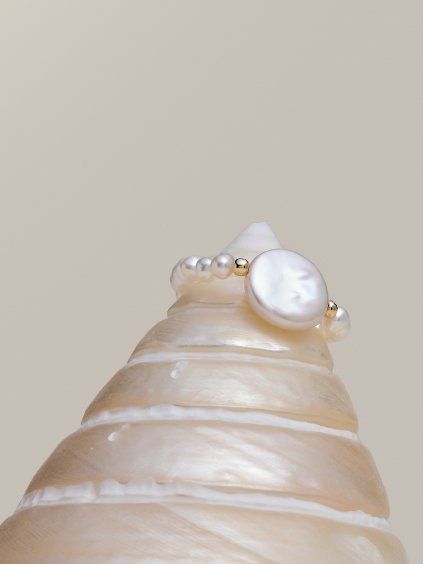 E71A3093 orez
