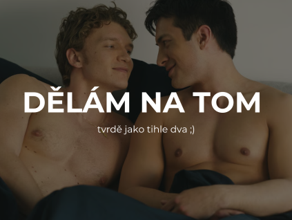 shane a ilja