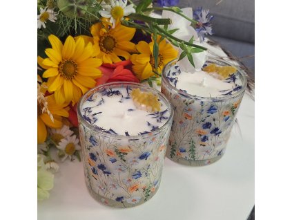 NA POLÍCH A LOUKÁCH