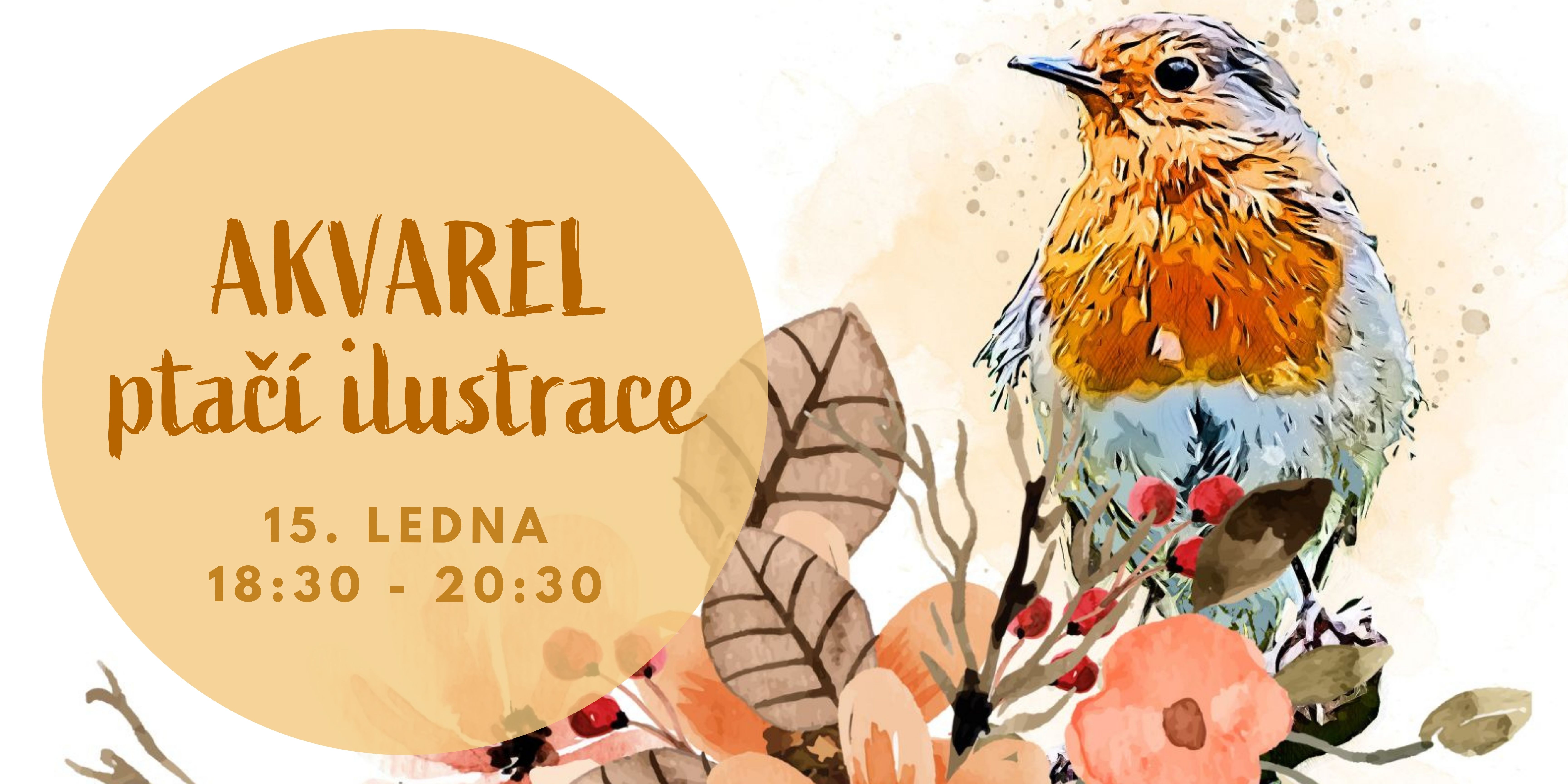 Akvarel - ptačí ilustrace