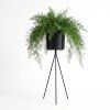 Tripod tall black