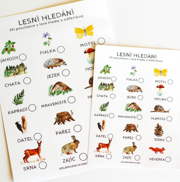 Zdarma ke stažení - Lesní hledání