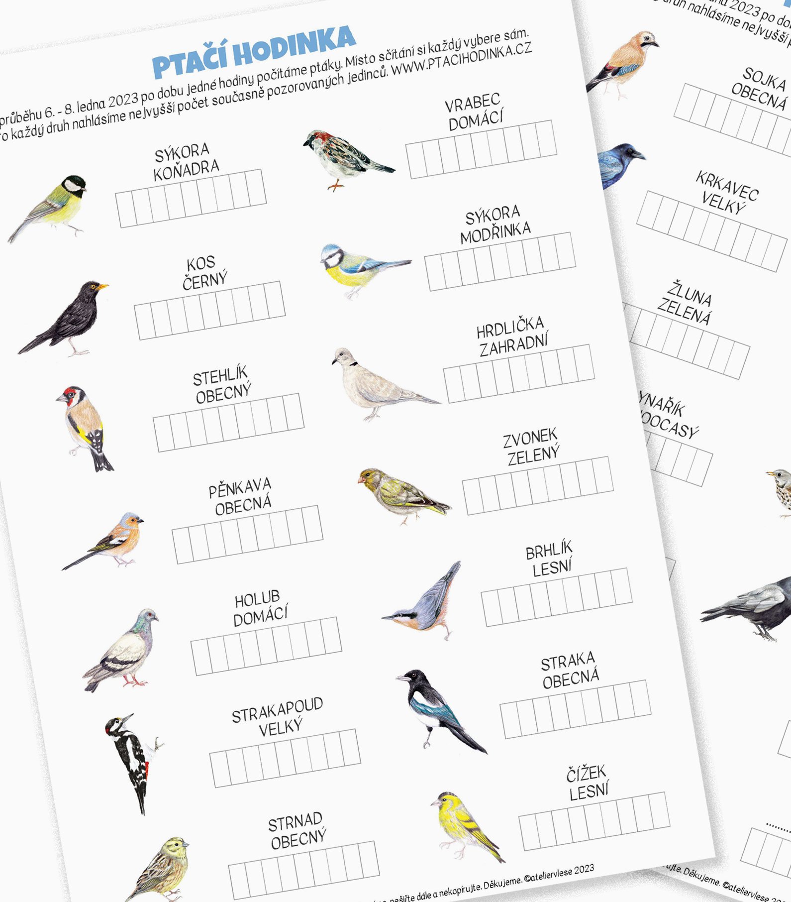 Ptačí hodinka - formulář