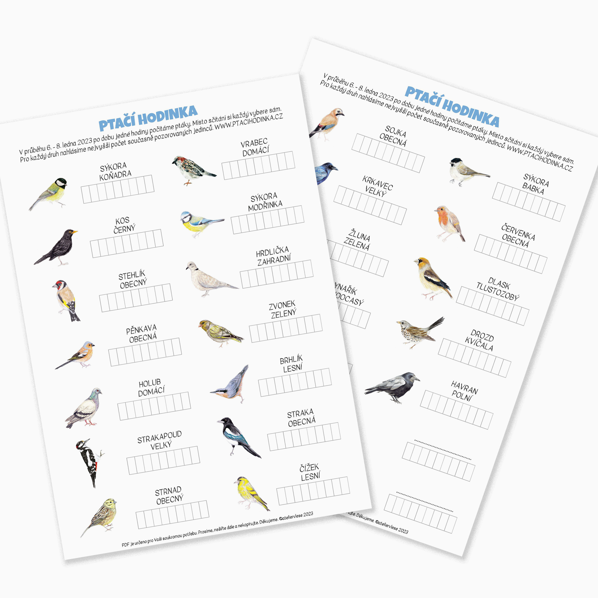 ptaci-hodinka-plakat-ctverec