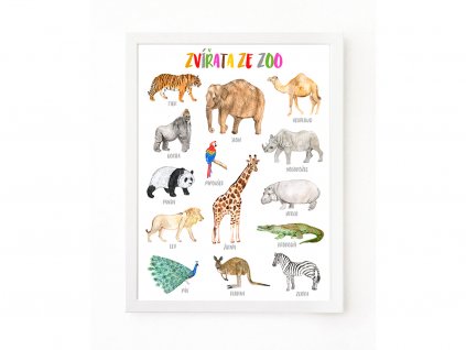 ZVIRATA ZE ZOO PLAKAT