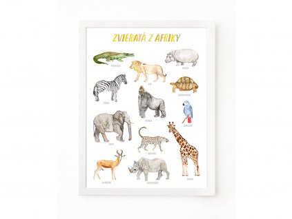 PLAKAT AFRIKA SK web